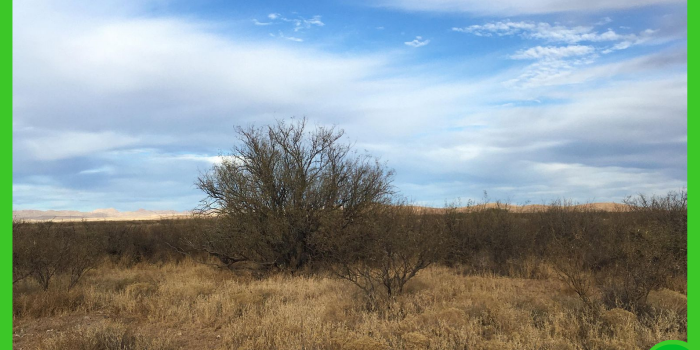 15.87-acres-in-cochise-az-1
