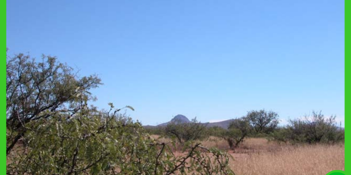 15.87-acres-in-cochise-az-9