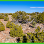 20-acres-apache-az-12