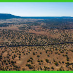 20-acres-apache-az-3