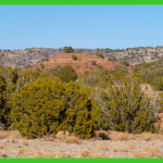 20-acres-apache-az-8