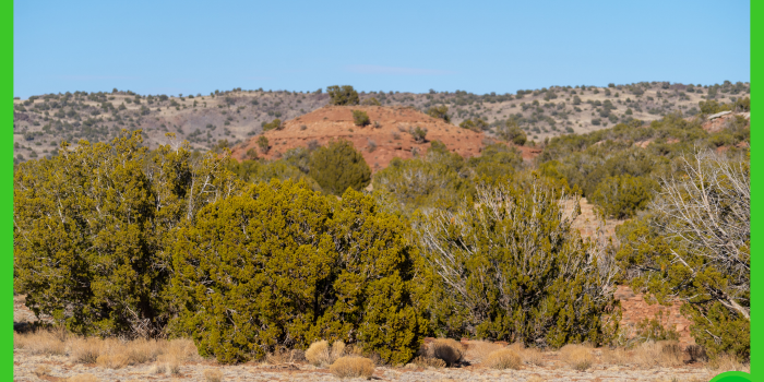 20-acres-apache-az-8